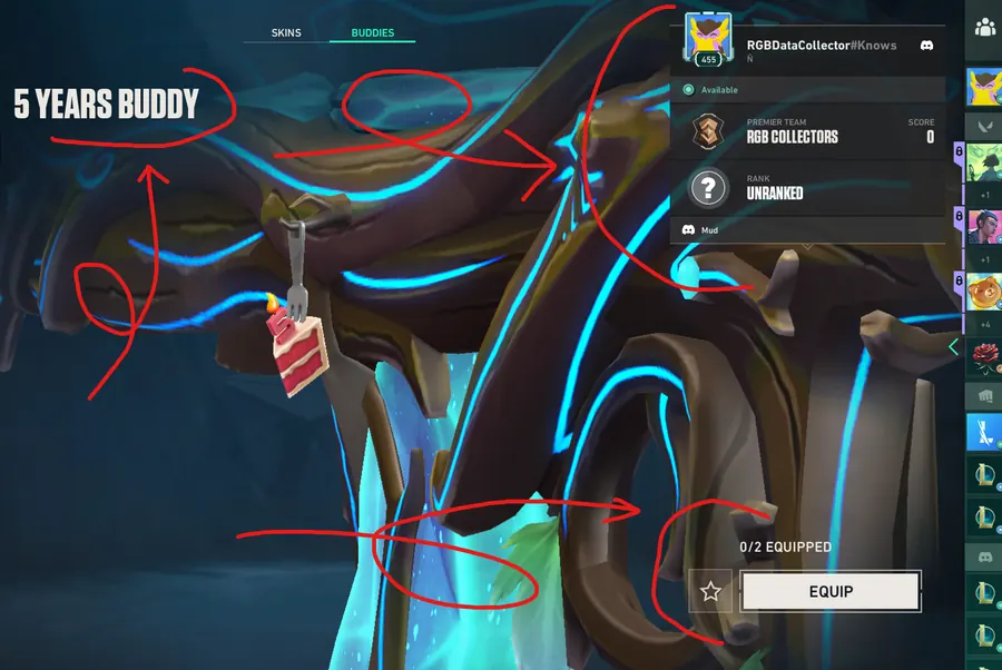 Example proof screenshot: the Buddies inventory tab with the in-game name/tag and the Riot Gun Buddy circled.